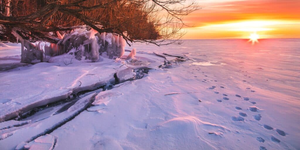 winter scene at sunset or sunrise with animal tracks as a metaphor for tracking spending